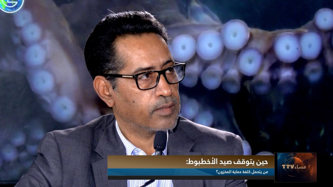 ولد الصادق: التوقف البيولوجي يعوّض البحارة بزيادة الكميات وارتفاع الأسعار